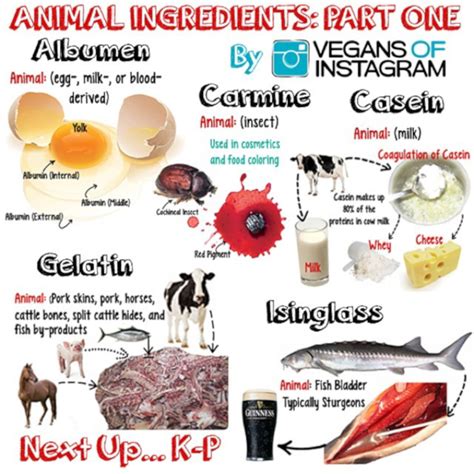 ANIMAL DERIVED INGREDIENTS LISTS | SATYAVEDISM