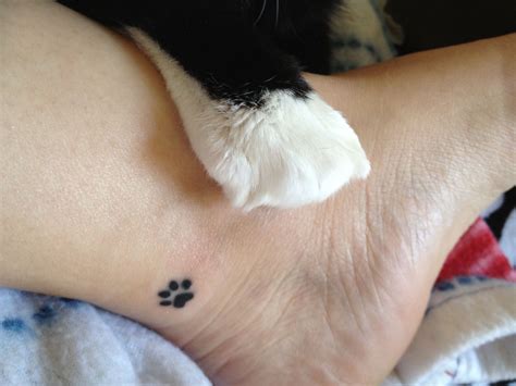 My Paw Print Tattoo In Honor Of My Beloved Tuxedo Cat Small Tattoos