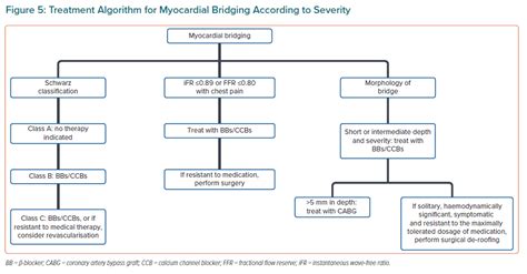 Treatment Algorithm For Myocardial Bridging According To Severity