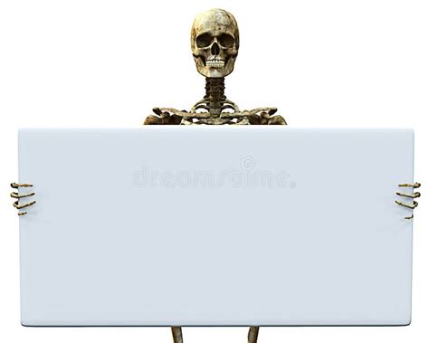 Skeleton Hold Sign 2 Stock Illustration Illustration Of Body 15565306