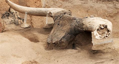 Çatalhöyük Research Project Excavations Of A Neolithic Anatolian Höyük