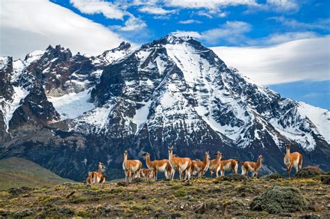 The itinerary and hotels were very good too, though we had to have a very early start on couple of days. South America travel guide: Which is the perfect country ...