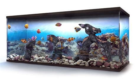 Aquarium Free 3d Models Download Free3d