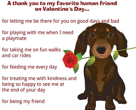 Quote About Dogs So Much Petential Cincinnati Dog Training