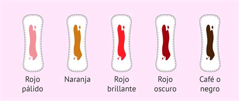 Colores De La Sangre Menstrual ¿qué Indican Y Qué Hacer Em 2023 Cor Da Menstruação