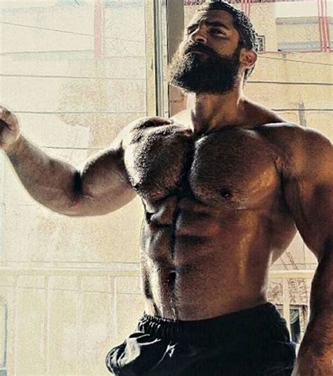 beard muscle muscle bear men s muscle hairy men bearded men male chest big beard moda