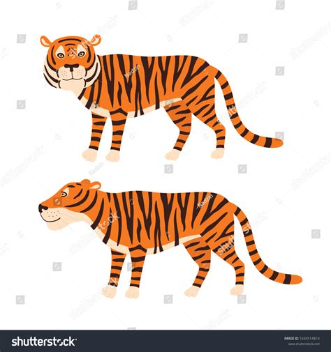 Tiger Stand Vector Illustration Isolated On Stock Vector Royalty Free