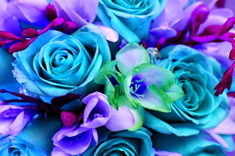 Doodlecraft Colorful Bouquet Of Flowers Wallpaper Background