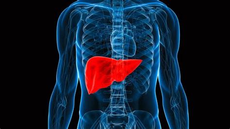 New Webinar Non Invasive Assessment Of Liver Fibrosis In Chronic Liver