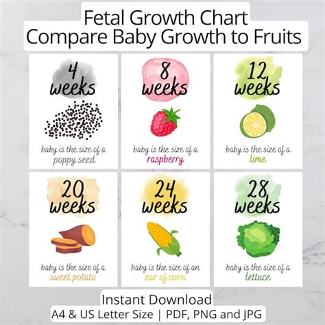 Pregnancy Fetal Growth Guide Baby Size Comparison To Fruits Etsy