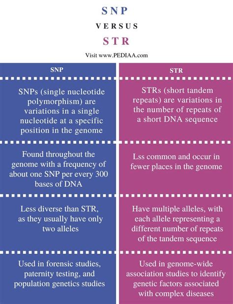 What Is The Difference Between Snp And Str Pediaacom