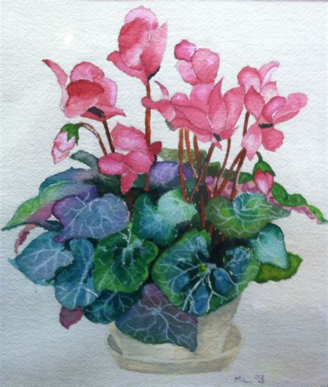 Cyclamen Watercolor Painted By M Lent Floral Watercolor Flower
