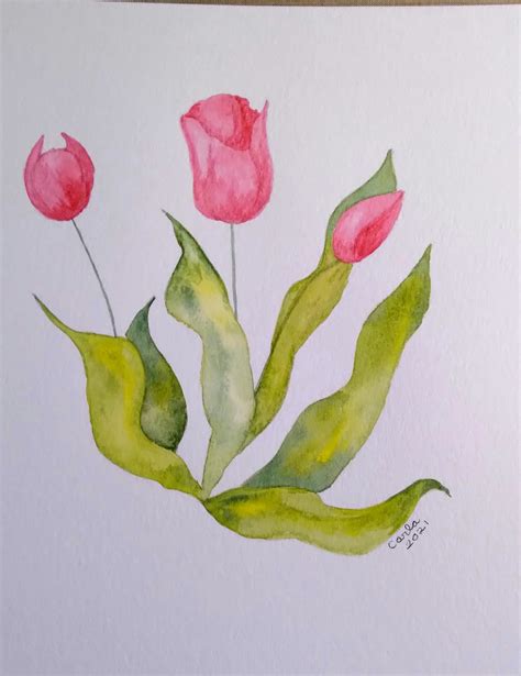Carlas Cards Tulips In Watercolor