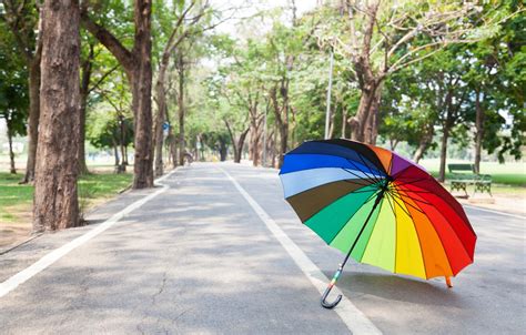 Wallpaper Road Summer Trees Park Rainbow Umbrella