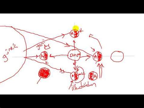 ayın hareketleri ve evreleri YouTube
