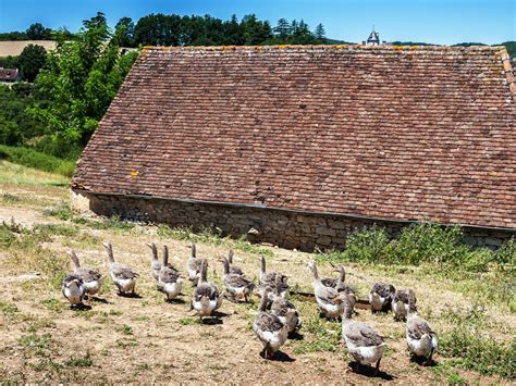 Rundreise zu außergewöhnlichen kulturstätten oder wanderungen zu den gipfeln. Tierisch lecker | Dordogne-Tal - Rocamadour, Padirac ...