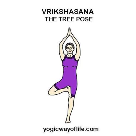 Vrikshasana Or The Tree Pose Is An Excellent Yogic Balancing Pose Where