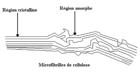 5 Représentation Schématique Des Zones Cristallines Et Amorphes De La Download Scientific
