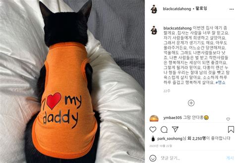 Jun 03, 2021 · 이슈 박수홍 친형 재산 횡령 논란 박수홍, 친형 고소 후 근황 다홍이와 이사…집 주인이 안아줘 머니투데이 원문 "집사는 희생하고 살았어요" 박수홍, 다홍이 통해 전했던 먹먹한 ...