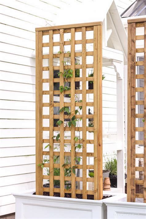 I will be constructing pea trellis this week from materials having at hand. 30+ DIY Trellis Ideas for Your Garden 2017