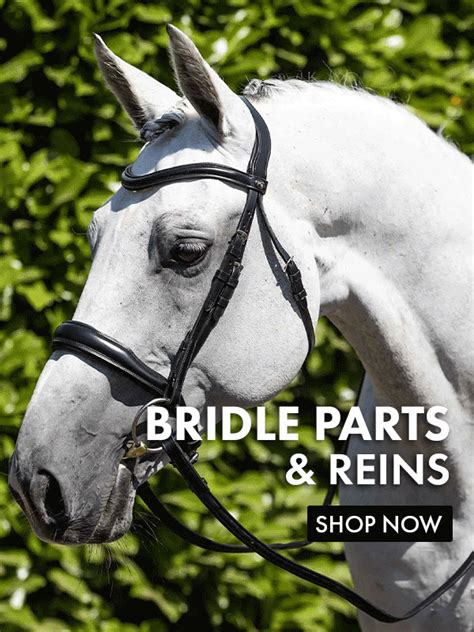 Build Your Own Premier Equine