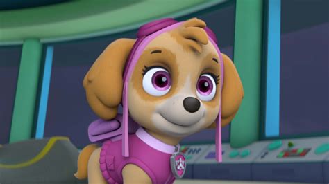 watch paw patrol season 5 episode 1 pups save a high flying skye pups go for the gold full