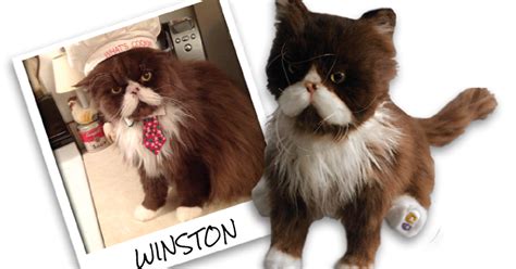 Order A Stuffed Animal That Looks Just Like Your Pet