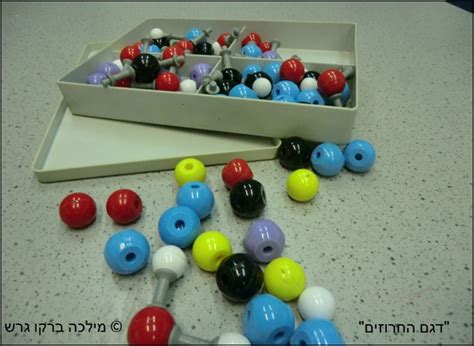 משרד האוצר מסדיר את המימון. שלושה פרפרי זהב,