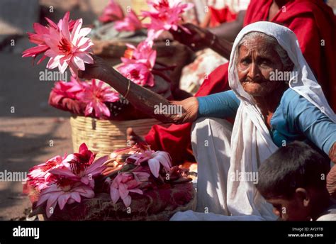 Elderly Woman Street Vendor Selling Flowers Ahmedabad Gujarat India Stock Photo Alamy