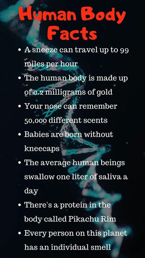 Interesting Facts About Humans Interesting Science Facts Amazing
