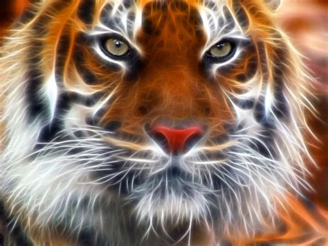 30 Most Beautiful Tiger Pictures That Will Inspire You Themes Company