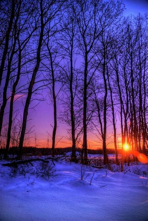 Winter Sunset Winter Scenery Beautiful Landscapes