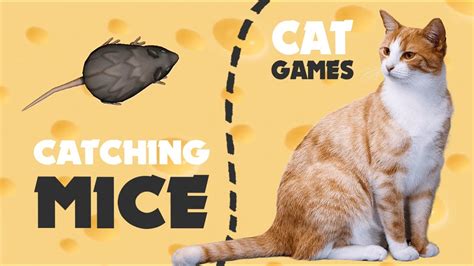Mice Game For Cats On Screen Cat Games Youtube