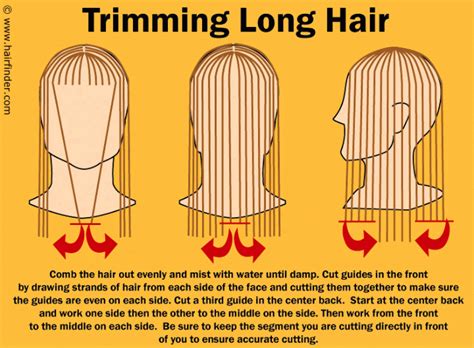 We did not find results for: How to cut long hair in a curved line