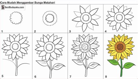 Langkah Cara Menggambar Bunga Matahari
