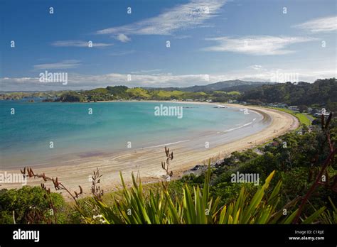 Oakura Bay Northland North Island New Zealand Stock Photo Alamy