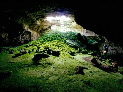 Brown Cave Cave Nature Moss Rock Hd Wallpaper Wallpaper Flare