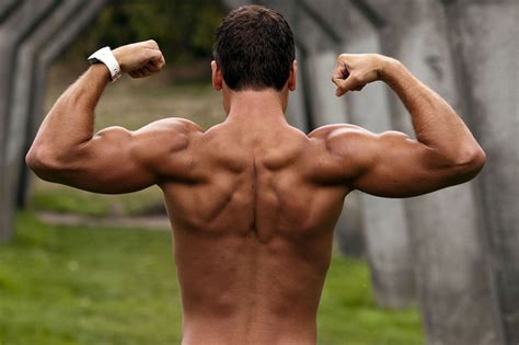 The veins of the upper portion of the back drain into the. Pull-up and Chin-up Training 101: The Basics on how to do ...