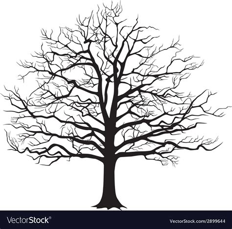 Black Silhouette Bare Tree Royalty Free Vector Image