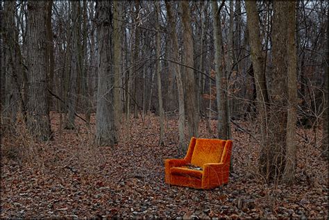 An Old Upholstered Chair In The Woods Photograph By Christopher Crawford