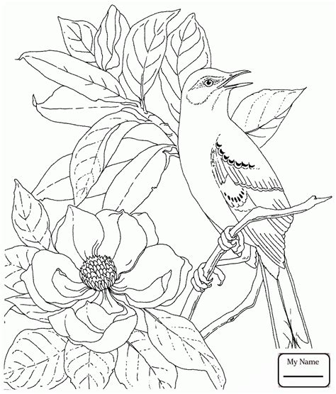Innovation idea map coloring page ultra pages image transparent free download seek texas. The best free Mockingbird drawing images. Download from ...