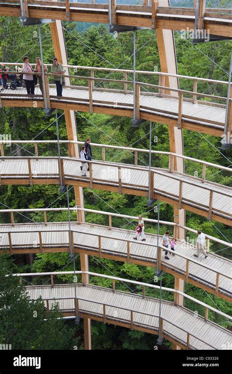 People Visiting The Tree Tower Treetop Walkway Bavarian Forest