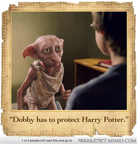 Funny Dobby Quotes Quotesgram