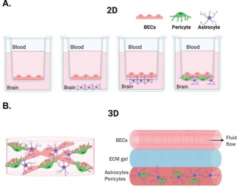 Figure 3 Two 2d And Three 3d Alzheimers Disease Drug