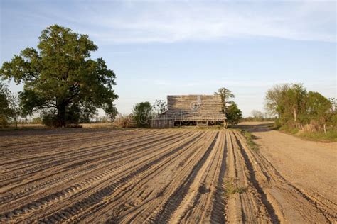 A Farm Mississippi Stock Photo Image Of Clarkesdale 42978442