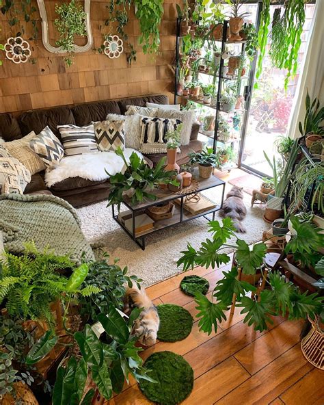 Biophilic Home Bohemian Living Room Decor House Plants Decor