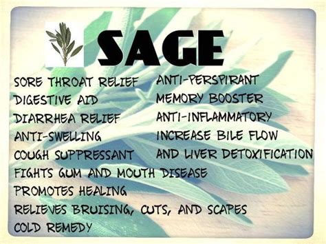 Memory herbs can be helpful in stimulating the mind and promoting brain function, and have shown promise in helping prevent and treat there are many herbal extracts that have been shown to help stimulate the mind and prevent memory loss. Healing Spices to Add to your Herb Garden