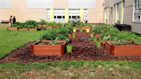 Phs How To Build A School Garden Primex Garden Center