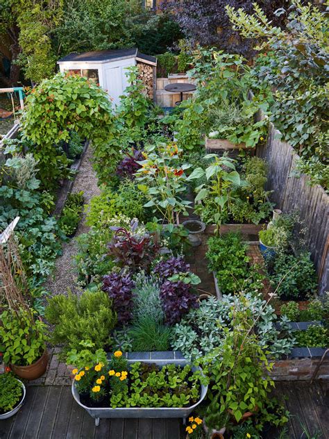 Growing An Edible Garden What To Plant Garden Layout Vegetable