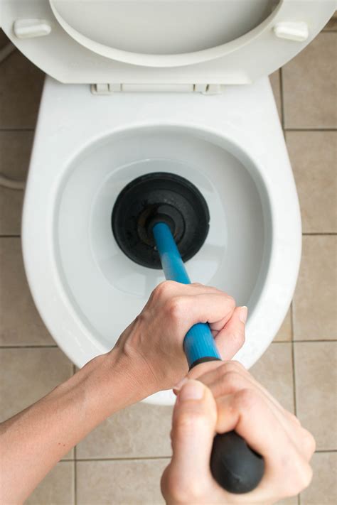 Causes Of A Clogged Toilet Insight From Your Emergency Plumber Sandy